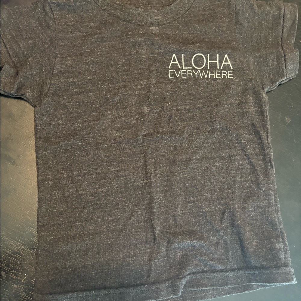 Pack of 2 soft toddler t-shirts 2T